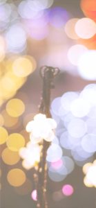 宮ヶ瀬ダムのクリスマス11