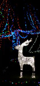 トナカイのイルミネーション2