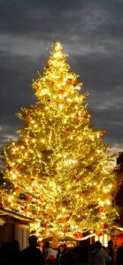 赤煉瓦倉庫クリスマスツリー1