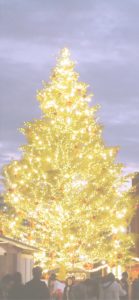 赤煉瓦倉庫クリスマスツリー2