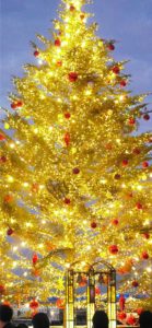 赤煉瓦倉庫クリスマスツリー3