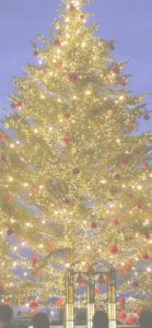 赤煉瓦倉庫クリスマスツリー4