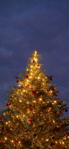 赤煉瓦倉庫クリスマスツリー5