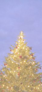 赤煉瓦倉庫クリスマスツリー6