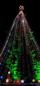 宮ヶ瀬ダムのクリスマスツリー1