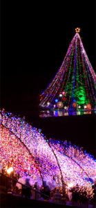 宮ヶ瀬ダムのクリスマスツリー3
