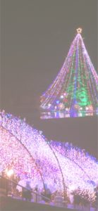 宮ヶ瀬ダムのクリスマスツリー4