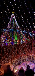 宮ヶ瀬ダムのクリスマスツリー5