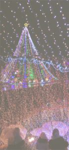 宮ヶ瀬ダムのクリスマスツリー6