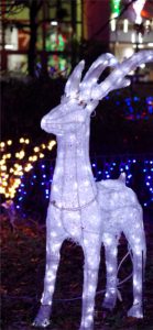 宮ヶ瀬ダムのクリスマス6