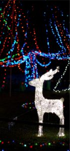 トナカイのイルミネーション1