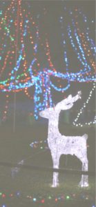 トナカイのイルミネーション2