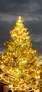 赤煉瓦倉庫クリスマスツリー1