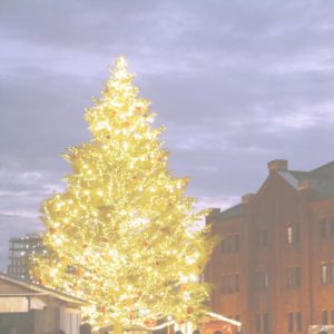 横浜赤レンガ倉庫のクリスマスツリー1