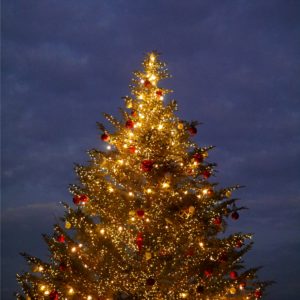 横浜赤レンガ倉庫のクリスマスツリー5