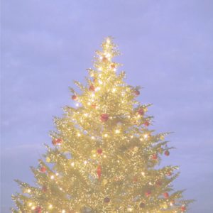 横浜赤レンガ倉庫のクリスマスツリー6