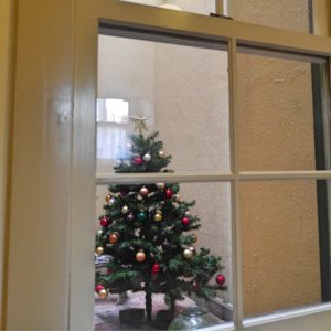 中庭のクリスマスツリー1