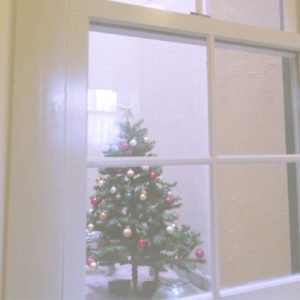 中庭のクリスマスツリー2