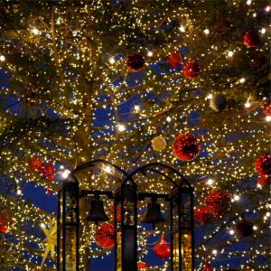 横浜・赤煉瓦クリスマスツリー3