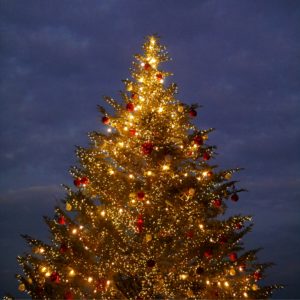 横浜・赤煉瓦クリスマスツリー5