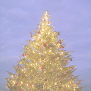 横浜・赤煉瓦クリスマスツリー6