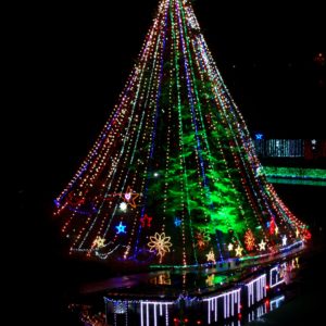 宮ヶ瀬ダムのクリスマスツリー2