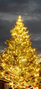 横浜赤レンガ倉庫のクリスマスツリー8