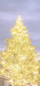 横浜赤レンガ倉庫のクリスマスツリー7