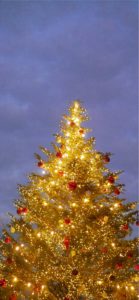 横浜赤レンガ倉庫のクリスマスツリー4