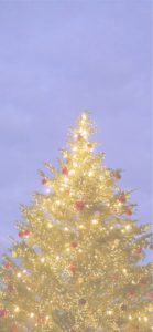 横浜赤レンガ倉庫のクリスマスツリー3