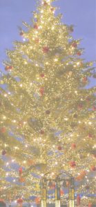 横浜赤レンガ倉庫のクリスマスツリー1