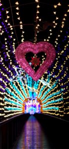 宮ヶ瀬ダムのクリスマス22