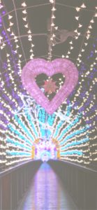 宮ヶ瀬ダムのクリスマス21