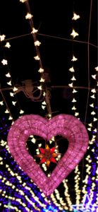 宮ヶ瀬ダムのクリスマス20