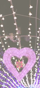 宮ヶ瀬ダムのクリスマス19