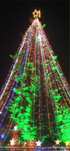 宮ヶ瀬ダムのクリスマスツリー10