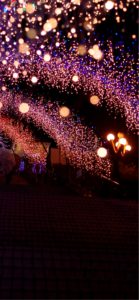 宮ヶ瀬ダムのクリスマス14