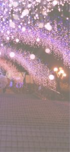 宮ヶ瀬ダムのクリスマス13