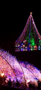 宮ヶ瀬ダムのクリスマスツリー6