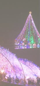 宮ヶ瀬ダムのクリスマスツリー5