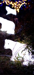 宮ヶ瀬ダムのクリスマス10