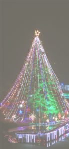 宮ヶ瀬ダムのクリスマスツリー1