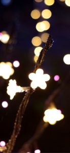 宮ヶ瀬ダムのクリスマス9