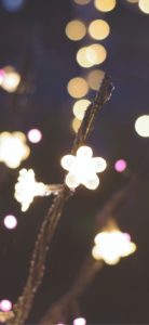 宮ヶ瀬ダムのクリスマス8