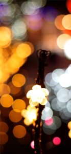 宮ヶ瀬ダムのクリスマス7