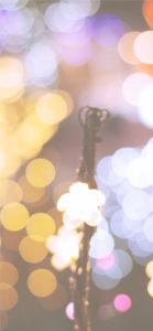 宮ヶ瀬ダムのクリスマス6