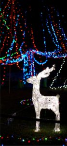 トナカイのイルミネーション2