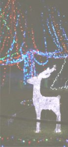 トナカイのイルミネーション1