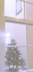 中庭のクリスマスツリー2