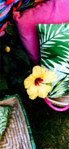 黄色いハイビスカス2